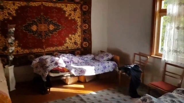 Шоу и Концерты