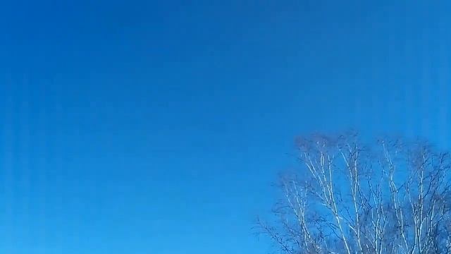 Снегоход Динго Т 150...Прогулка с дочей по лесу... смотреть онлайн