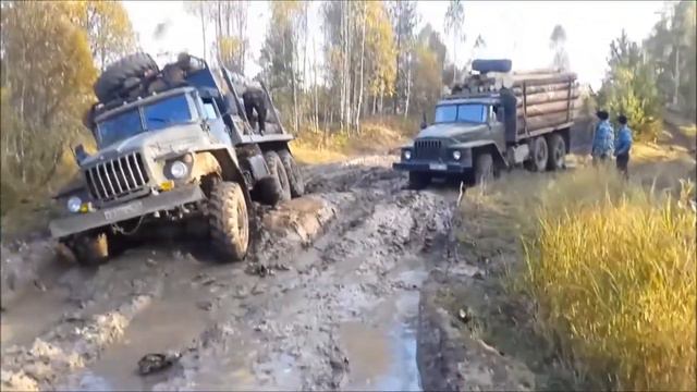 МОЯ ЗОЛОТАЯ ТАЙГА смотреть онлайн