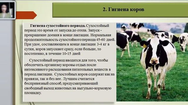 Зоогигиена 3 4 курс ТПС смотреть онлайн