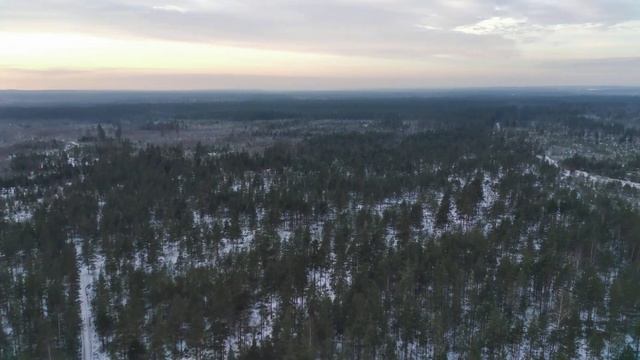 Съемка с квадрокоптера Fimi X8 SE 2022 v2, Ленинградская область, река Вьюн. Температура -20. смотреть онлайн