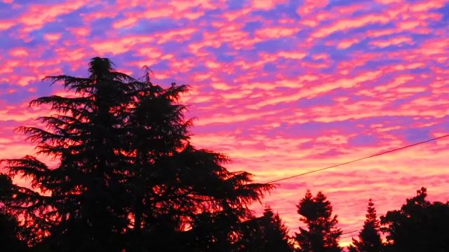2 hours of pink noise - relax, sleep, meditate or study смотреть онлайн