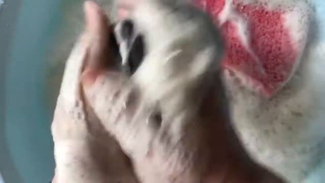 Asmrsoap. Мыление 7 видов дегтярного мыла???Кайф нереальный???