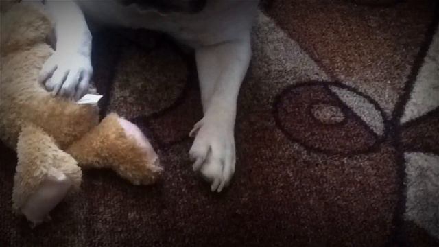 30 марта — с Днём Рождения, Бетти! смотреть онлайн