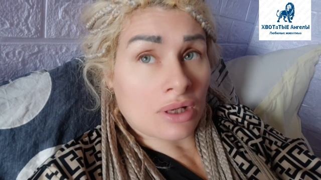 Роды шпица смотреть онлайн