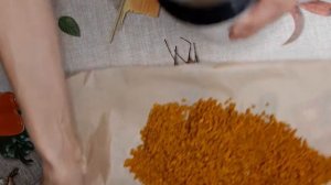 Как измельчить корень куркумы в порошок в домашних условиях