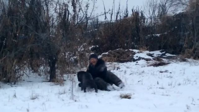 Секреты Креатива