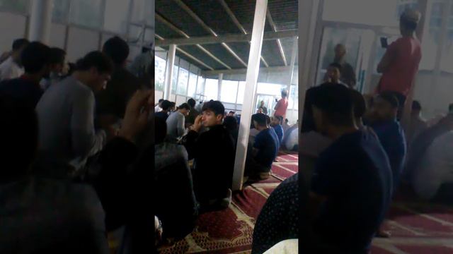 Масчиди Репина 42 смотреть онлайн