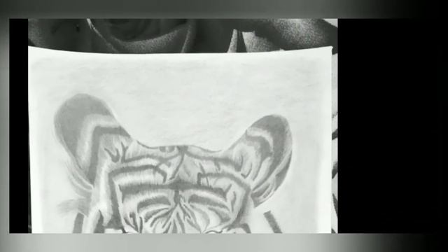 TIGER FACE DRAWING TUTORIALS|PENCIL SKETCH|HOW TO DRAW TIGER FACE STEP BY STEP смотреть онлайн