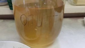 Пласт чайного гриба дырявый или порванный - что получиться?