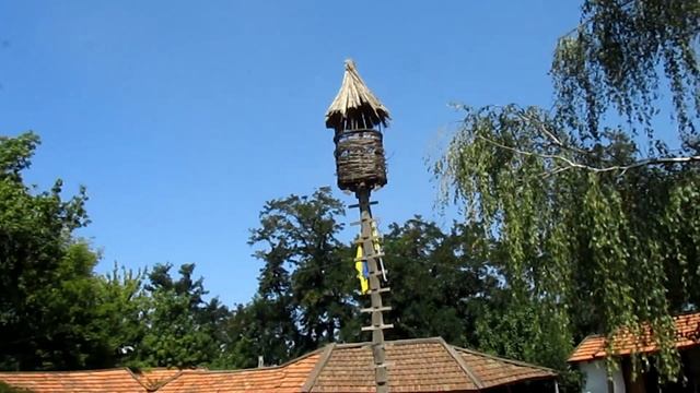 Музей на острове Хортица. Уникальная казацкая чайка, поднятая со дна Днепра. смотреть онлайн