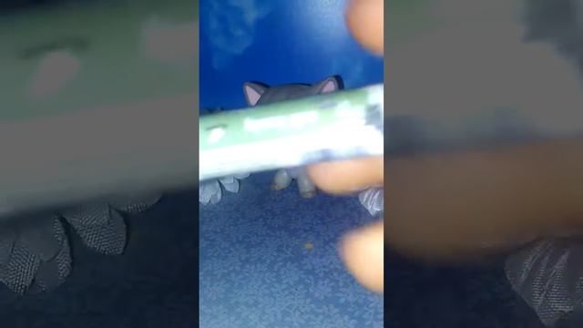 Мне понравки в сентябре....❤❤❤❤ смотреть онлайн