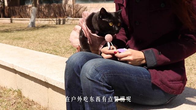 SUB)Lazy day relaxing breakfast and dinner | heart-shaped pizza recipe/慵懒的一天由心形披萨开启 смотреть онлайн