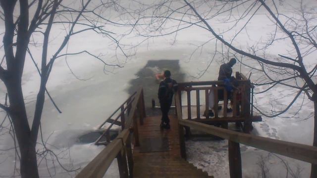 Кузьминки моржи начало зимы смотреть онлайн