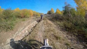 Покатушки на кроссовых мотоциклах по лесу