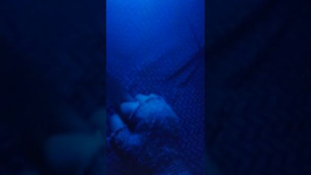 эх если она только была в стендофф 2 смотреть онлайн