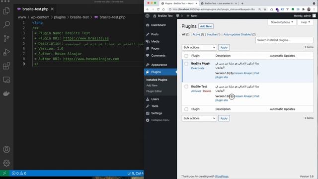 طريقة بناء بلغن في ووردبريس Create Wordpress Plugin смотреть онлайн