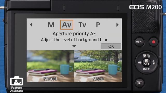 Best Cameras With Flip Screens смотреть онлайн