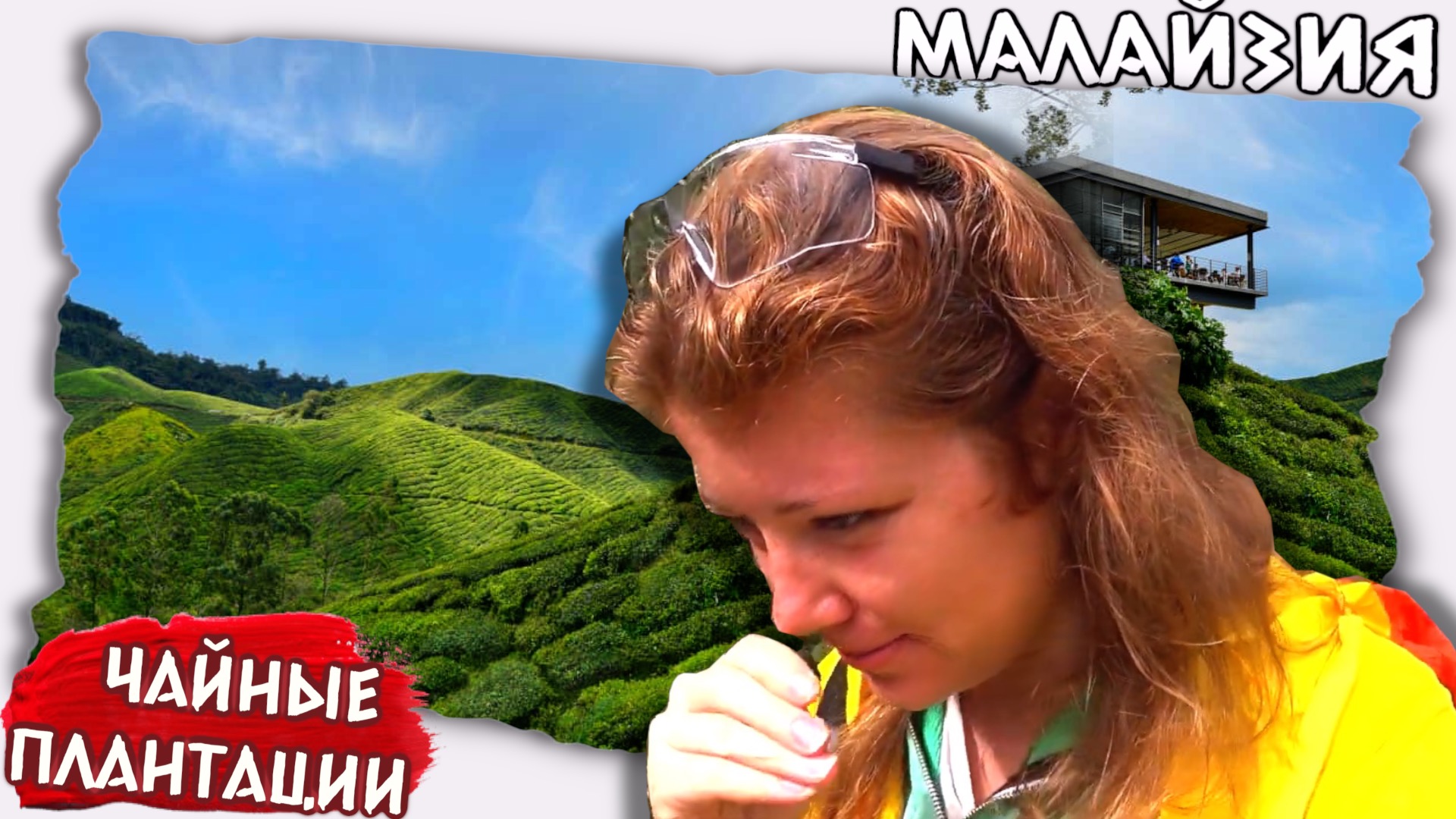 Что интересного на чайных плантациях // Нагорье Камерон