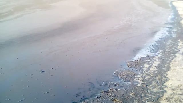 Врангель с утра,уголь везде,зелёные вы где невозможно смотреть смотреть онлайн