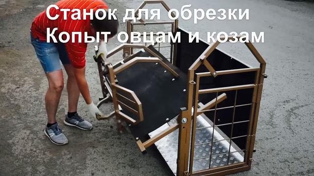 Станок для обрезки копыт овец коз МРС Станок для обрезки копыт козам и станок для обрезки копыт МРС смотреть онлайн