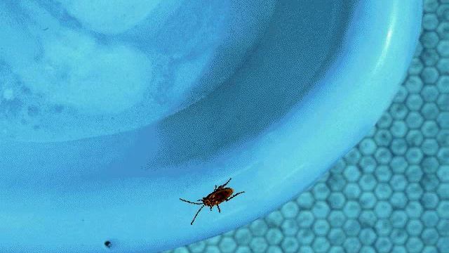 Bad Mojo Episode 4 - The bathroom смотреть онлайн