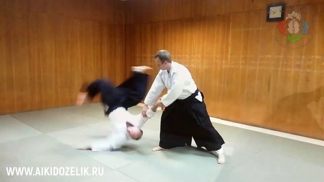 ? Техника Айкидо. Кататедори Гиякуханми Сумиотоси. ?Шувалов Александр Викторович - 5 Дан Айкидо. смотреть онлайн