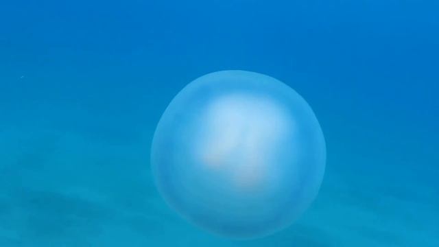 Relaxing music with ocean waves Meditation and Yoga смотреть онлайн