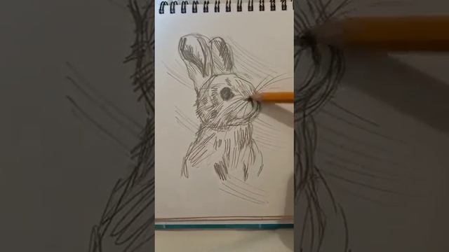 Как быстро нарисовать зайчика смотреть онлайн
