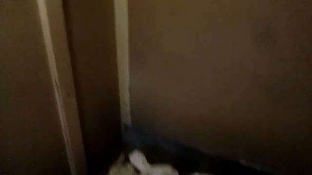 КОЧЕВОЙ ДОМ ПЧЕЛОВОДА... смотреть онлайн