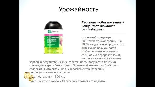 Купольный Вегетарий КВ 12 и ваши возможности смотреть онлайн