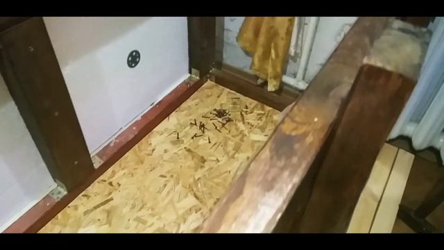 Строительные Прогнозы