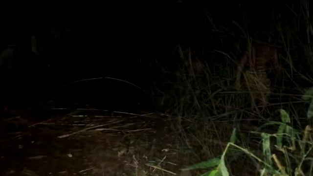 technology build a stone With bamboo dam to Find fish смотреть онлайн