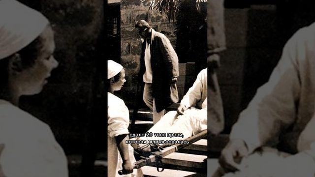 Интересный факт! #shortsyoutube #shorts #short смотреть онлайн