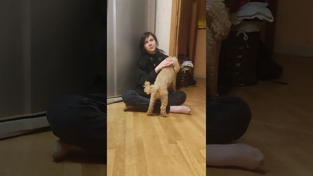 Наша любимица, уже старушка, но с характером)) смотреть онлайн