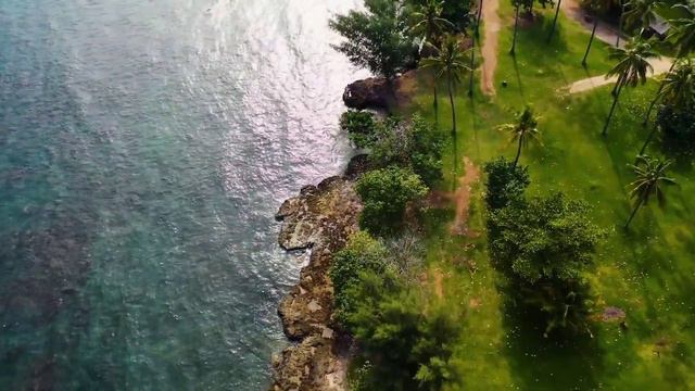 Пальмы море/Palm trees sea смотреть онлайн