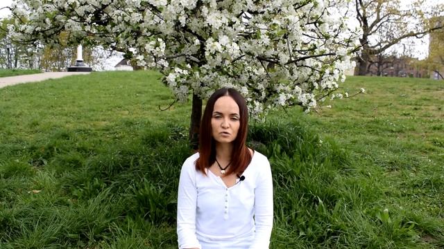 Школа в США. Американская школа. Все что нужно знать. Как устроить ребенка в школу США по турвизе. смотреть онлайн