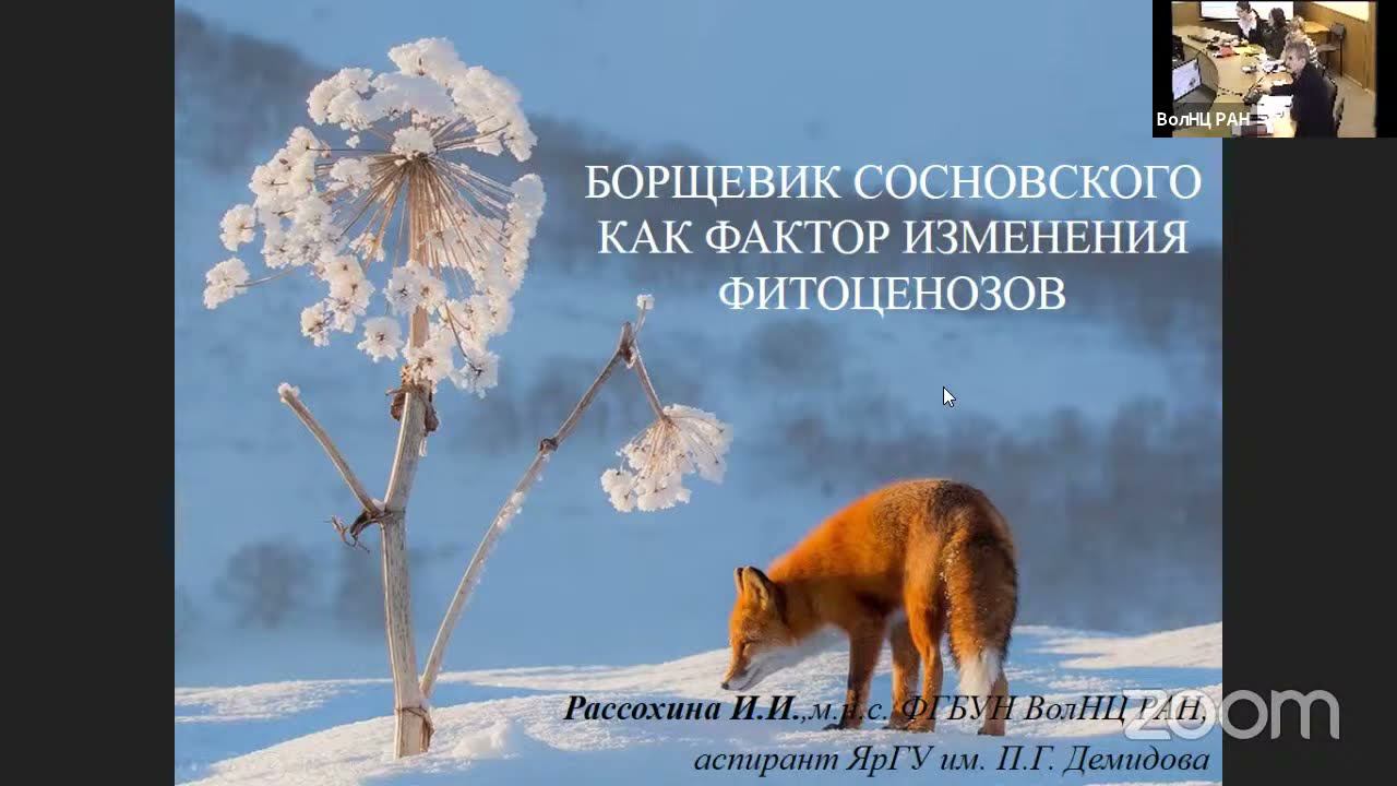 "Борщевик Сосновского как фактор изменения фитоценозов" смотреть онлайн