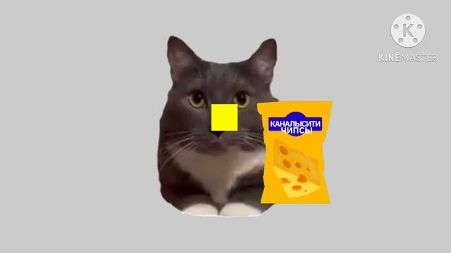 Реклама Каналысити Чипсы (Берите для итк канала)