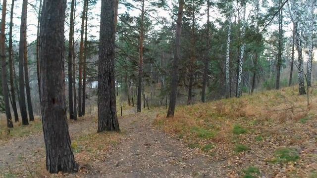 14.10.23 .Томск .На электровелосипеде по тропам спорткомплекса Кедр + озеро за ним смотреть онлайн