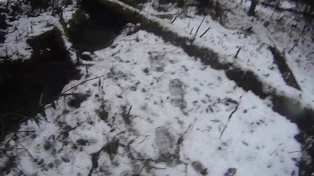 Охота в дебрях Урала.2019. смотреть онлайн