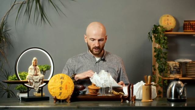 Шу или Шен? Какой пуэр лучше штырит? смотреть онлайн