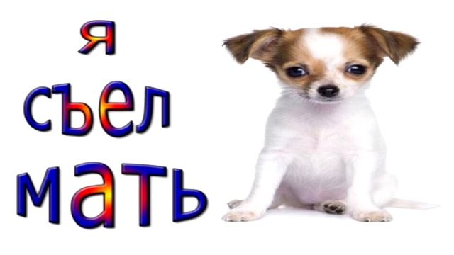 Тест на шизу - уровень утконос смотреть онлайн