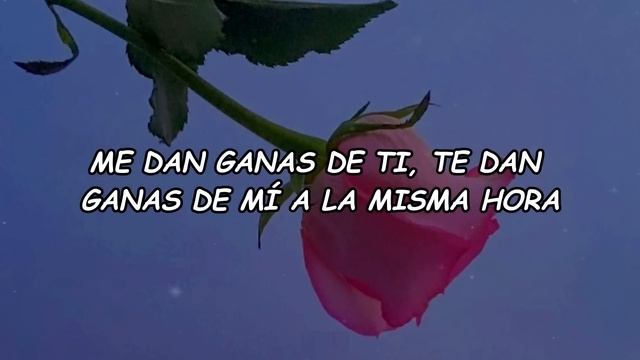 J Balvin - Rojo (Official Video Lyric) смотреть онлайн