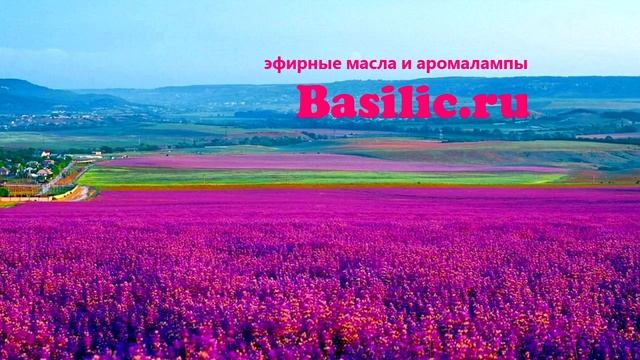 Аромалампа Тыква Домик купить аромалампу смотреть онлайн