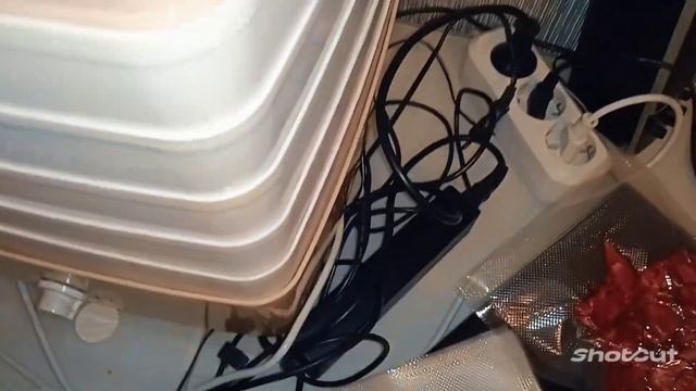 Ваакуматор  Vacuum Sealer X. Инструкция. Сушу и храню клубнику ?