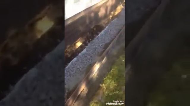 Полимерпесчаная плитка, отмостка. смотреть онлайн