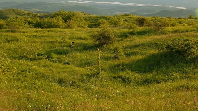 Ставропольская степь смотреть онлайн