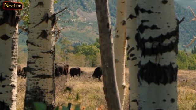 Kevin Costner REVEALS Season 5 Details That Change EVERYTHING.. смотреть онлайн