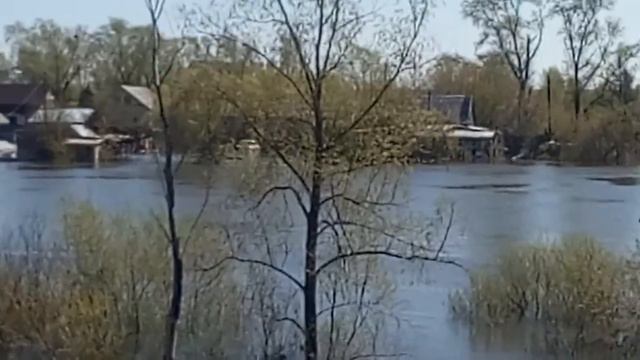 Половодье 2016 курган смотреть онлайн